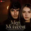 Saaj Bhatt & Amjad Nadeem Aamir - Meri Mohabbat - Single